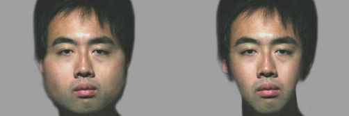 De 10 beste optiske illusjonenene i 2012